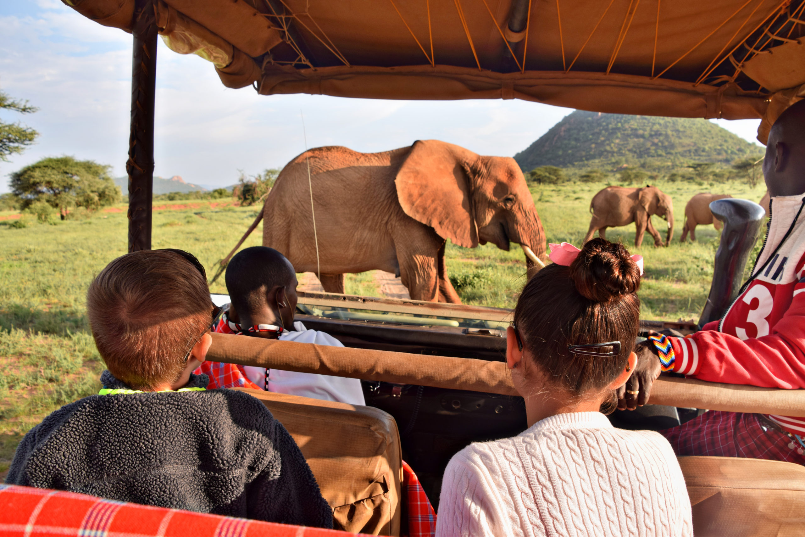 Safari Cruiser with Elephant