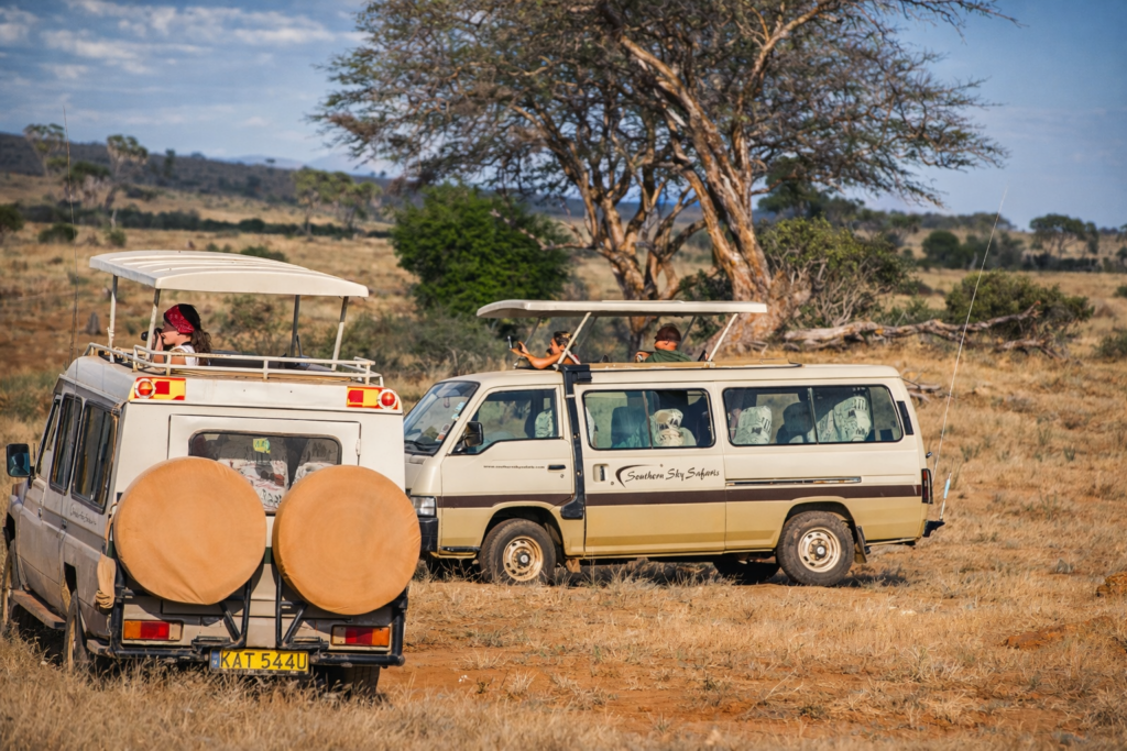 Safari vehicles in the golden savannah